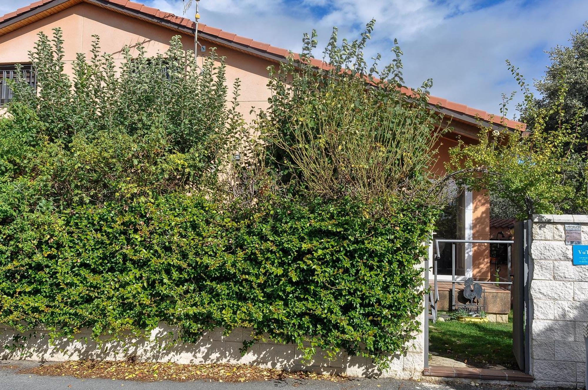 Acogedora Casa Con Verde Jardin By Cabana Rentals Ituero y Lama ภายนอก รูปภาพ